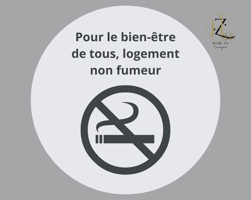 Le Lagon Bleu - Appt Wifi Parking Balcon Le Puy-en-Velay Экстерьер фото