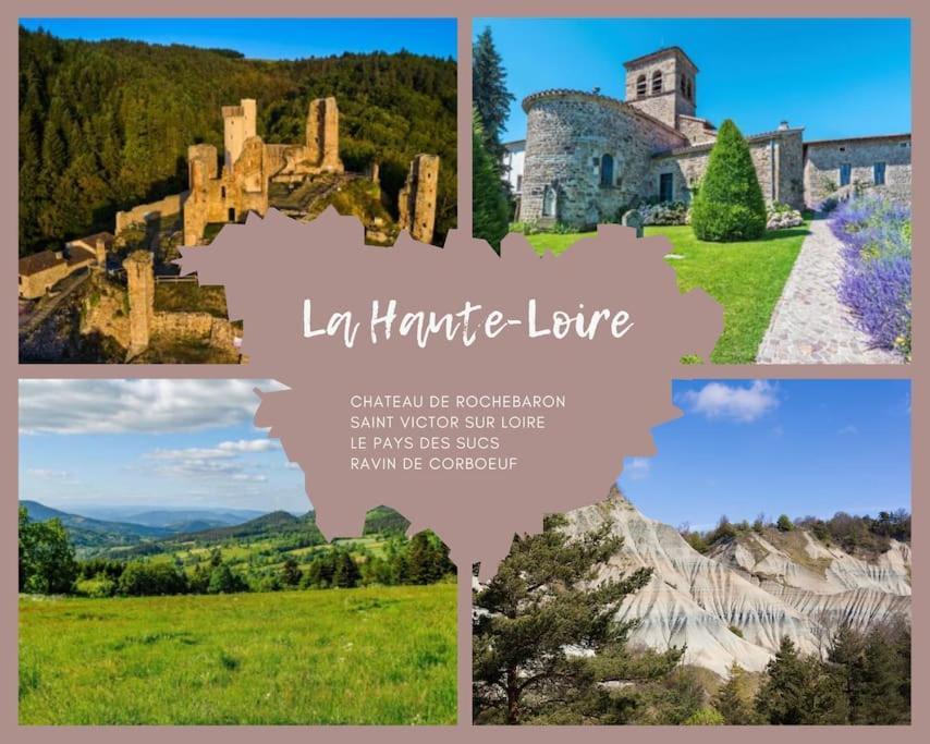 Le Lagon Bleu - Appt Wifi Parking Balcon Le Puy-en-Velay Экстерьер фото
