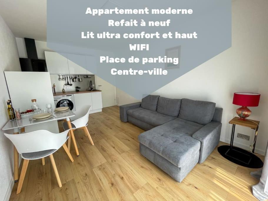 Le Lagon Bleu - Appt Wifi Parking Balcon Le Puy-en-Velay Экстерьер фото